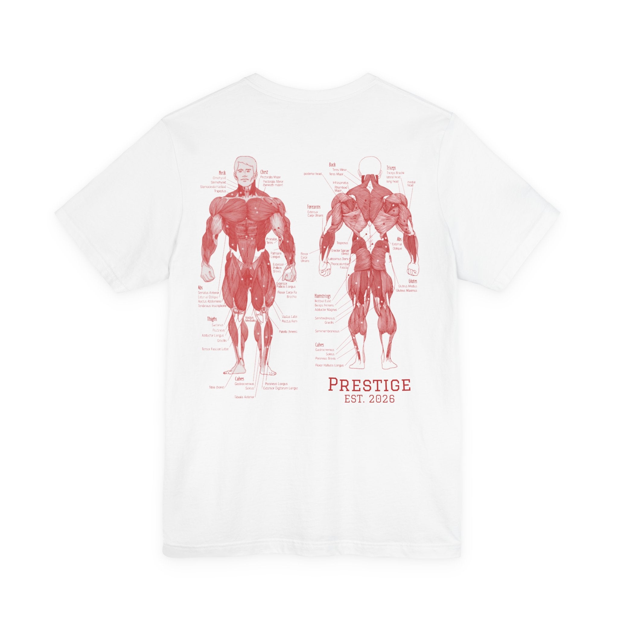 Anatomy Muscle Chart Tee — Prestige